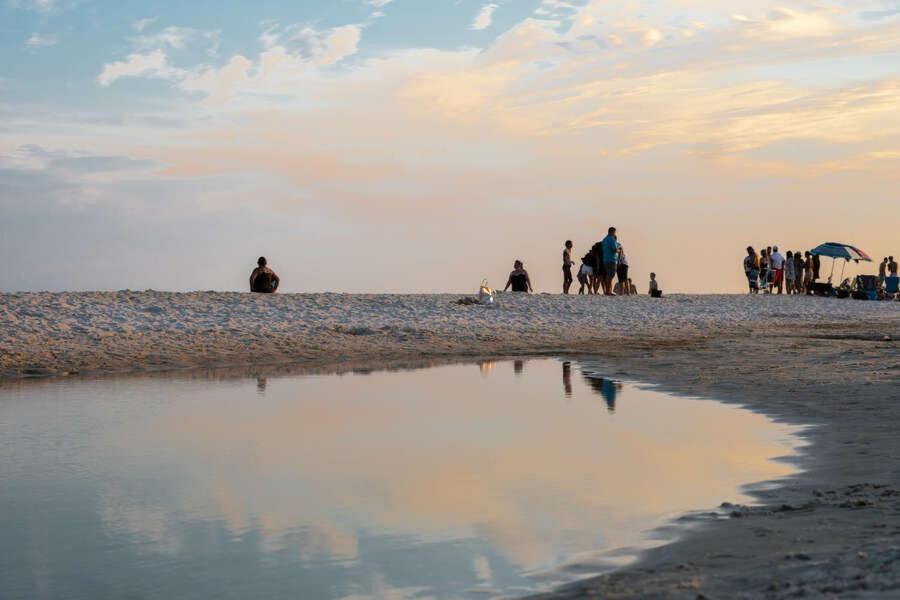 Budget Friendly Condo Within Walking Distance To The Beach! غولف شورز المظهر الخارجي الصورة
